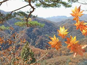 特写｜工艺美术大师祖孙三代，在湖北蕲春传承管窑